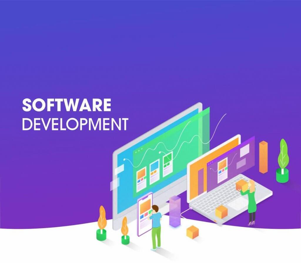 software development