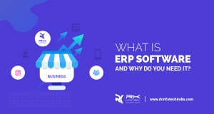 What is ERP Software