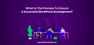 What Is The Process To Ensure A Successful WordPress Development?